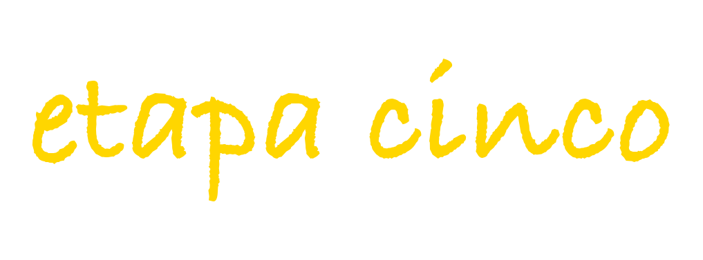 Etapa cinco